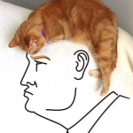 Candidate Portrait kitty trump
